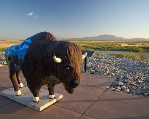 Great Salt Lake SP Entrance Bison