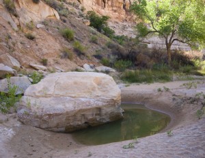 Tenmile Canyon Pool