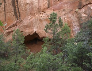 Rosebud Trail Arch
