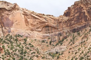 Calf Canyon Arch