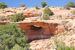 Trail Arch
