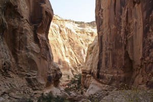 Deep in the canyon