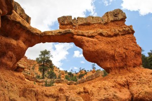 Losee Arch