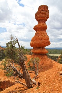 Losee Canyon Arch Trail Pinnacle